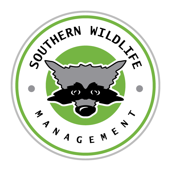 Southern Wildlife Bee Hornet Removal Logo